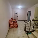 елка Apartmán