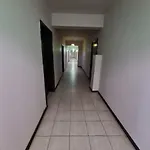 Apartmán елка