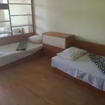 елка * Burgas City