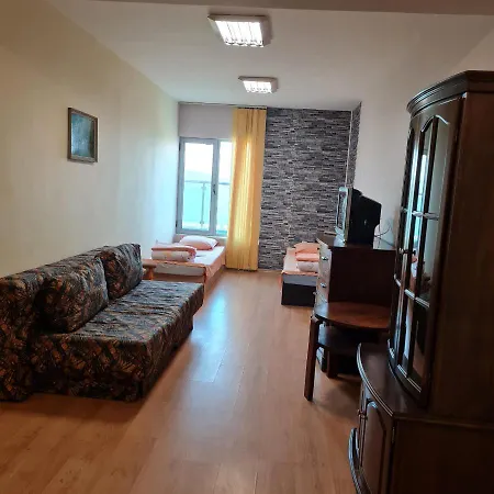 Apartment елка