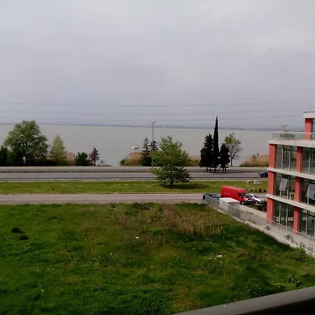елка Burgas City